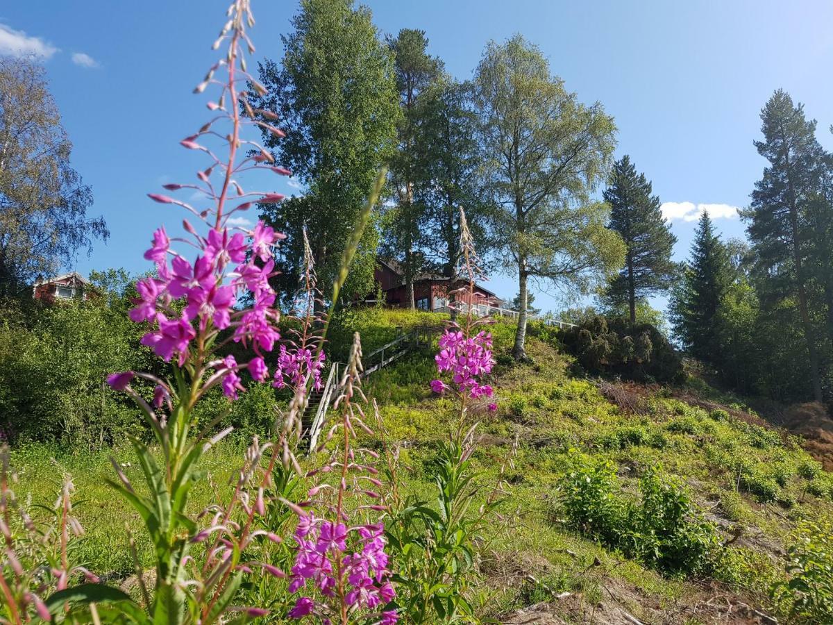 Bjoernforsens Turist & Konferenshotell, Naera Husum, Oernskoeldsvik Bjorna Luaran gambar